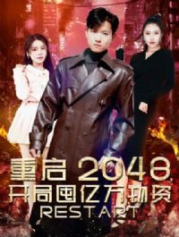 ����2048�����ֶ���������