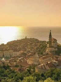 ��ͷ����